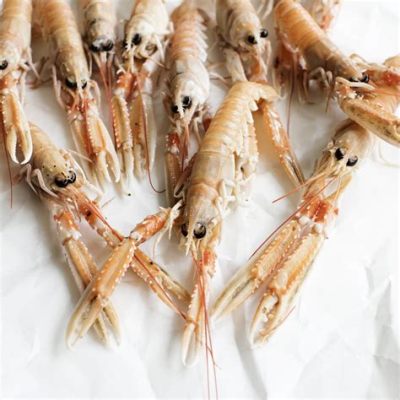  Langoustines: De wonderlijke wereld van deze dieprode schaaldieren met een unieke anatomie!